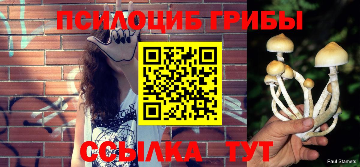 как найти   Вход с VPN  Родники  Галлюциногенные грибы MAGIC MUSHROOMS  Псилоцибиновые грибы GOLDEN TEACHER 